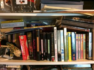 Basement Bookshelves (top shelf)
