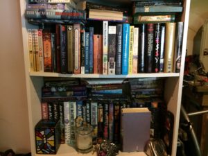 Basement Bookshelves (middle shelves)